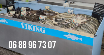 Bateau Le Viking Capbreton